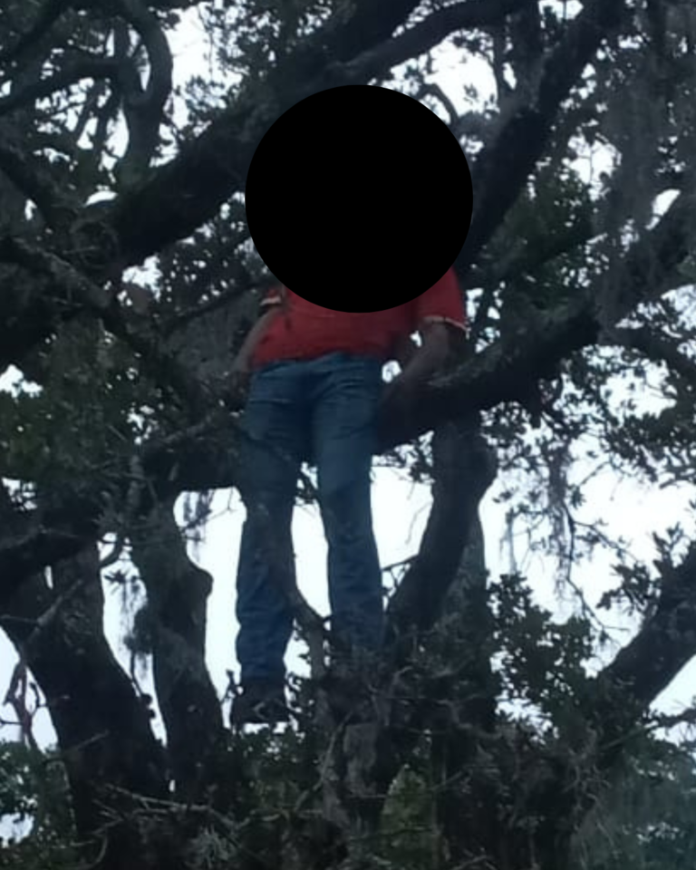 Encuentran hombre colgado y sin vida en Los Romeros