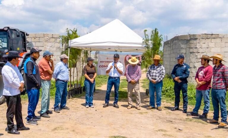 Eduardo Medécigo encabeza entrega de 200 pinos para la reforestación y el apoyo al campo en Mineral de la Reforma