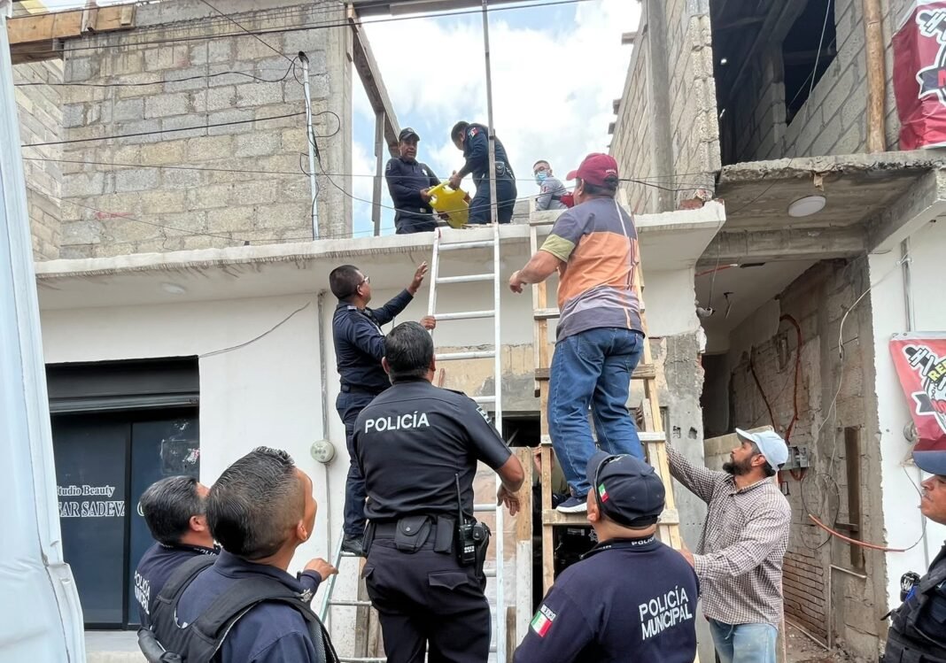 rescate elec