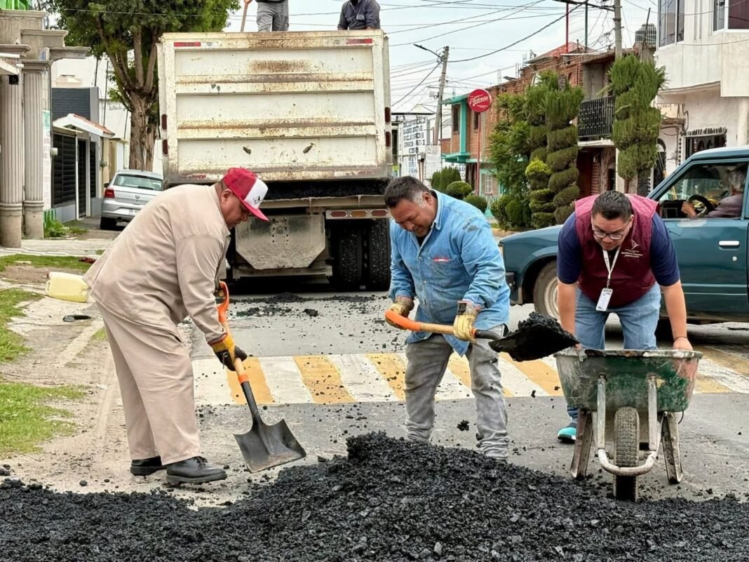 zapa bacheo