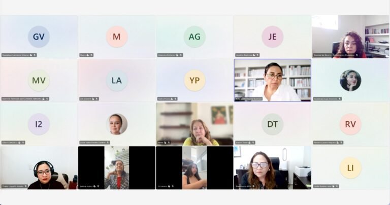 IEEH realiza taller «Autonomía de las mujeres para su participación en política» con integrantes de la Red de Mujeres Electas