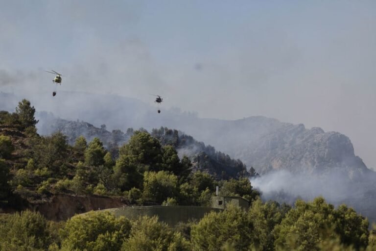 Incendios forestales devoran más de 45 mil hectáreas en España y obligan al confinamiento de 115 mil personas