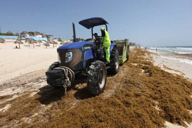 México activa fondo ambiental de 10 mdd para sortear retos como el sargazo