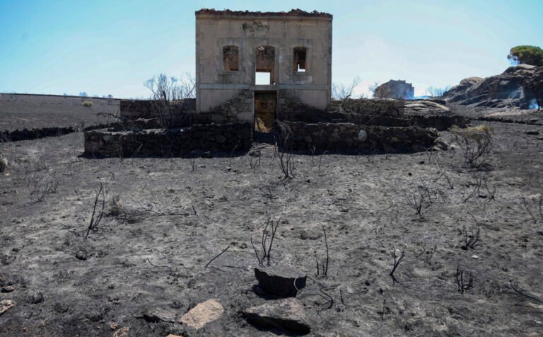 Un nuevo incendio en España dejó 11 mil hectáreas quemadas en un día 
