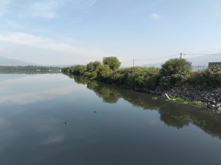 Mantienen desfogue de Presa Requena para aprovechamiento agrícola