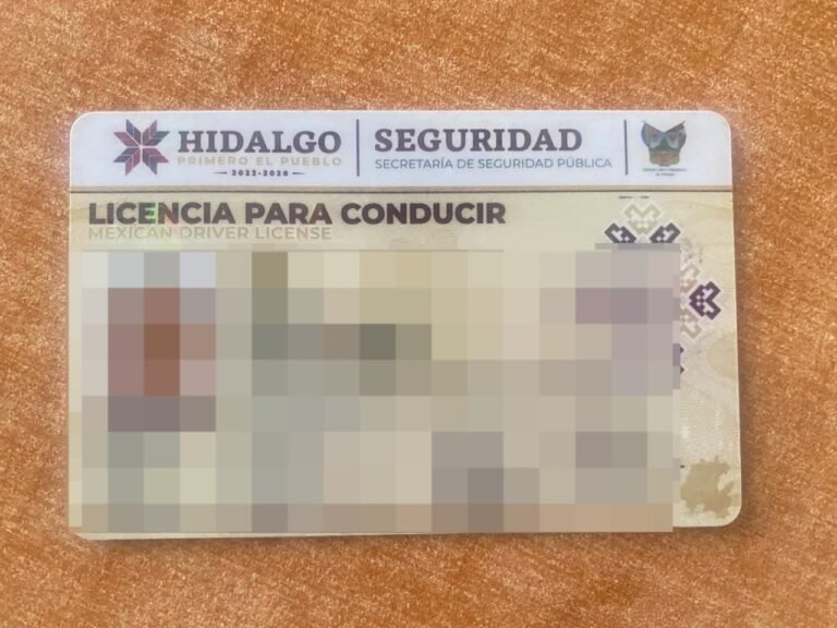 Exhortan a los 84 ayuntamientos a reconocer las licencias de conducir de otros estados
