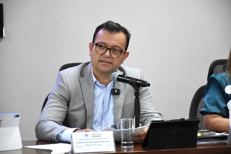 Proponen que municipios supervisen podas y derribos de árboles en zonas rurales 