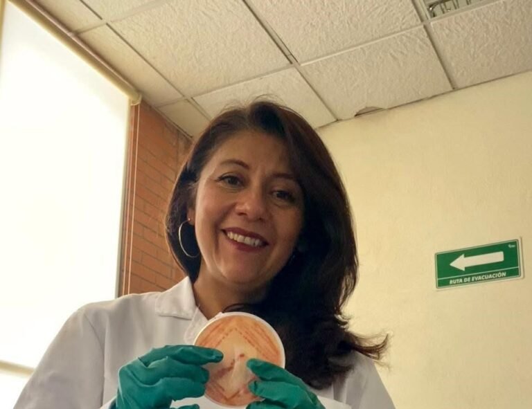 Impulsan biotecnología para prolongar vida útil del queso artesanal
