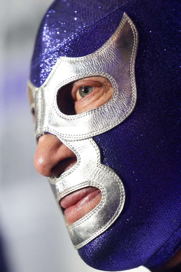 Blue Demon Jr., se retira