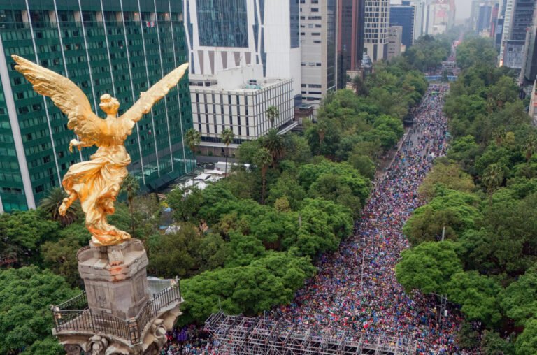 ONG interviene tras las cinco muertes por festejos del Mundial