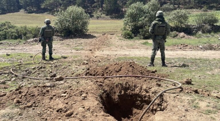 Asestaron duros golpes contra la delincuencia en varias entidades