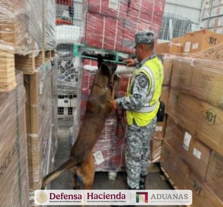 Decomisaron cargamento de cigarrillos apócrifos en el AIFA