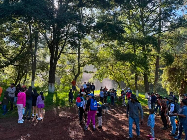 Reforestan el Manantial Chivería en Acaxochitlán