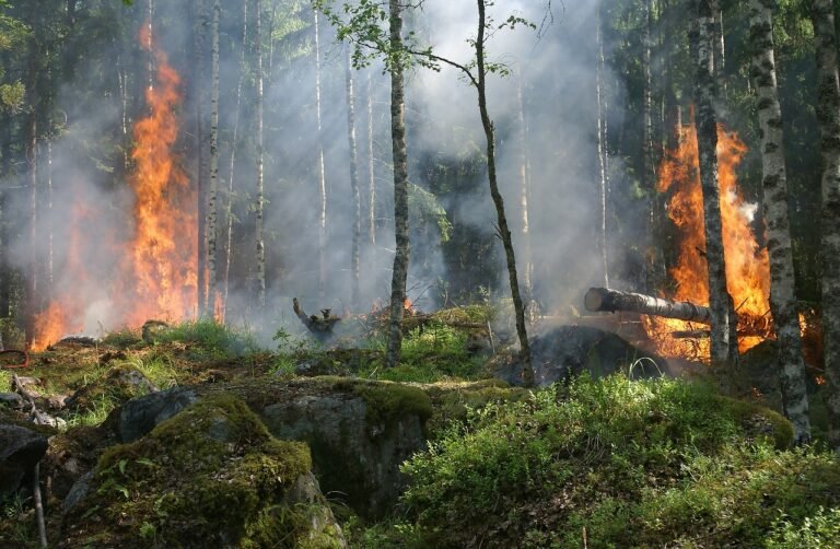 Un total de 120 incendios forestales en Hidalgo