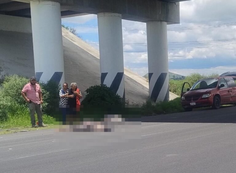 Arreglaban un neumático, pero los atropellaron y fallecieron los dos