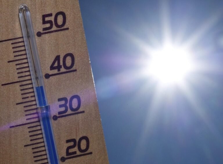 La ola de calor de junio en Alemania causó más de 4 mil 300 muertes