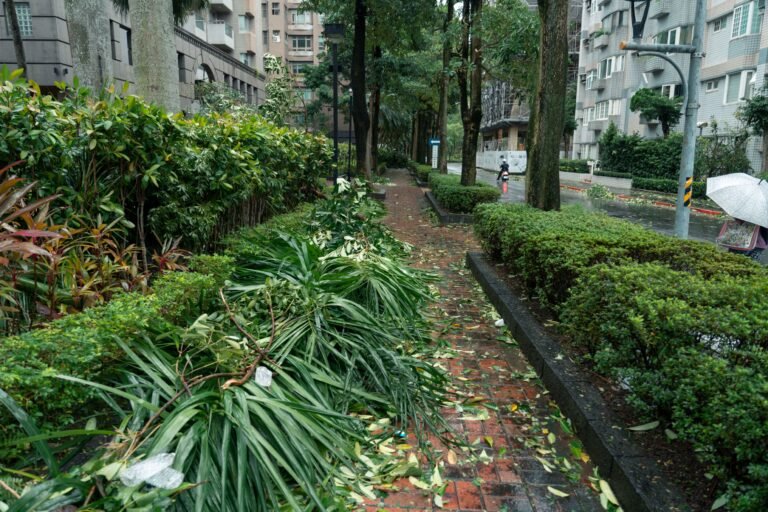 Más de 750.000 evacuados en el sureste de China, en alerta máxima por el tifón Noul