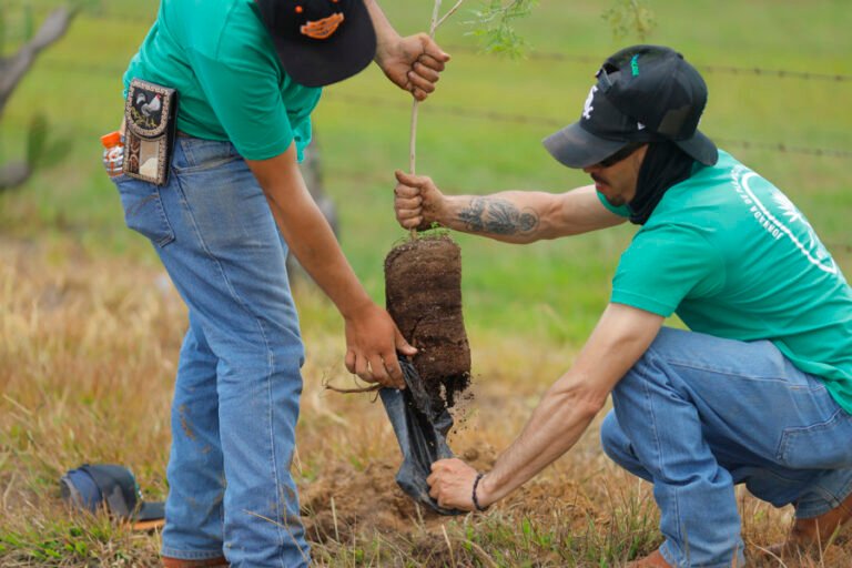Jalisco busca recuperar sus bosques ante el auge mundial del tequila