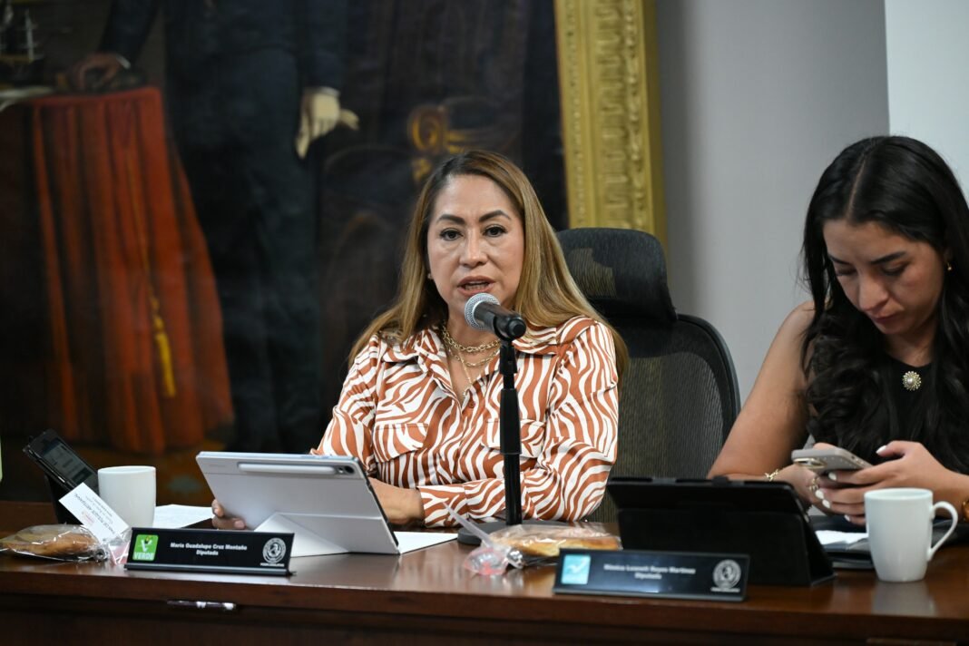 CONGRESO LOCAL Necesaria la creación de nuevas plazas para gerontólogos en hospitales de Hidalgo, María Guadalupe Cruz Montaño _ Cortesía
