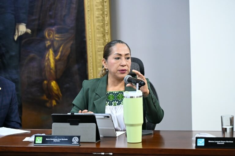 Proponen fortalecer las lenguas originarias de México