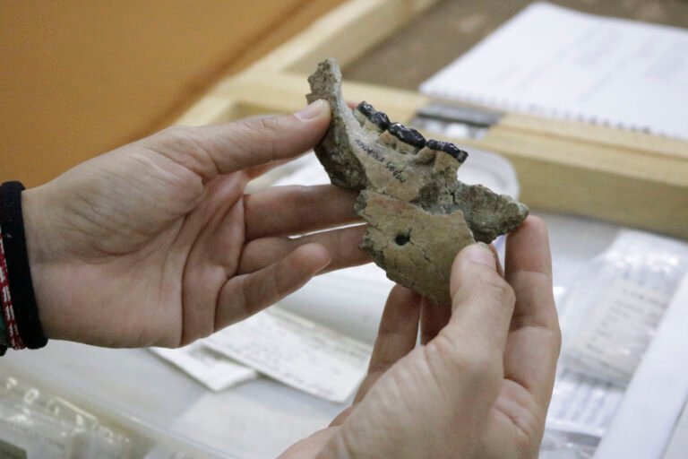 Nakali, la mandíbula de diez millones de años que mira al origen del ser humano