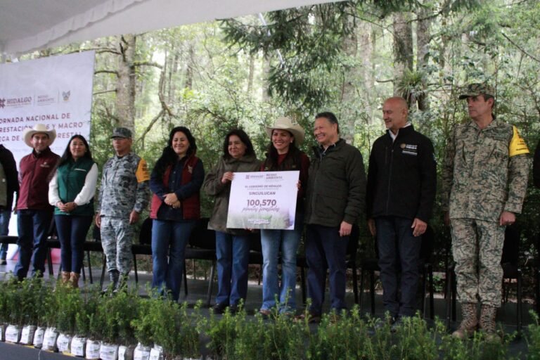 Destinan más de 100 mil plantas y árboles para reforestación en Singuilucan