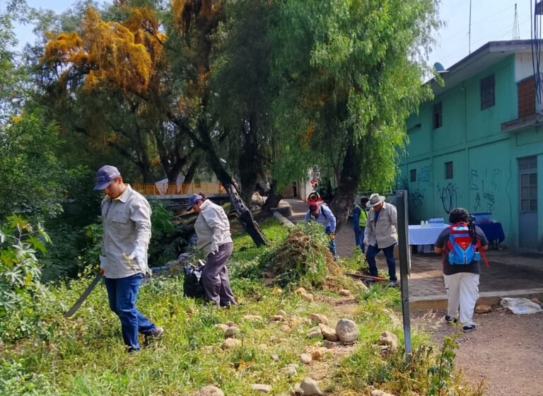 Un total de 6 toneladas de basura recolectadas del río Rosas