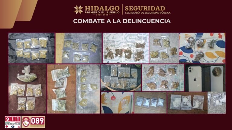 Decomisan drogas y aseguran predio