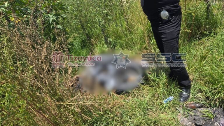 Descubren cuerpo calcinado de hombre, en el fraccionamiento las fuentes