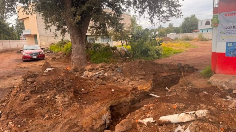 Vecinos de Cuautepec impiden derribo de árbol de más de 300 años de edad