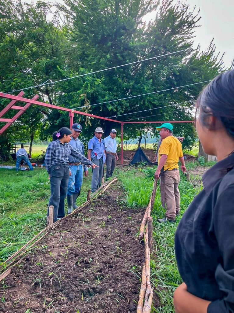 Estudiantes de la UPH llevan capacitación agroindustrial a comunidades de la Huasteca