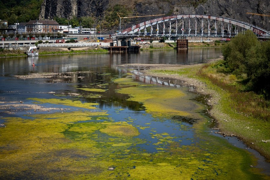 Chequia registra sequía en la mitad de sus estaciones hidrológicas