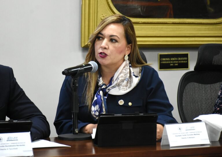 Propone Morena endurecer penas por tala ilegal y proteger a defensores de bosques