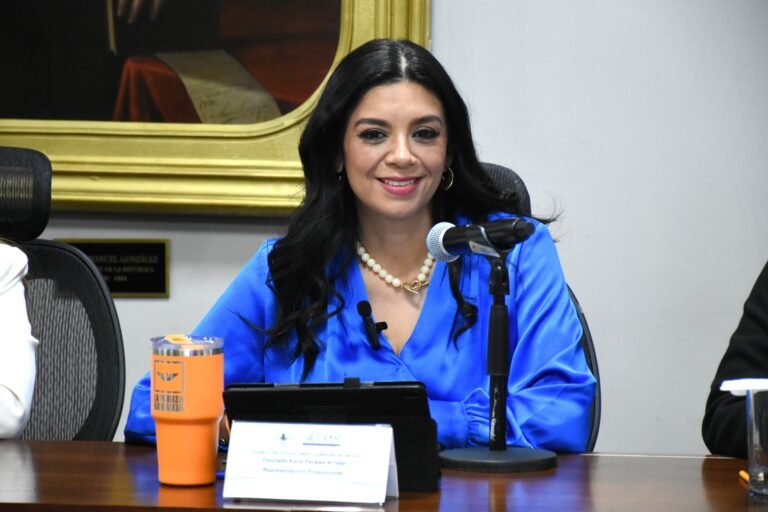Proponen impedir uso de colores partidistas en infraestructura pública