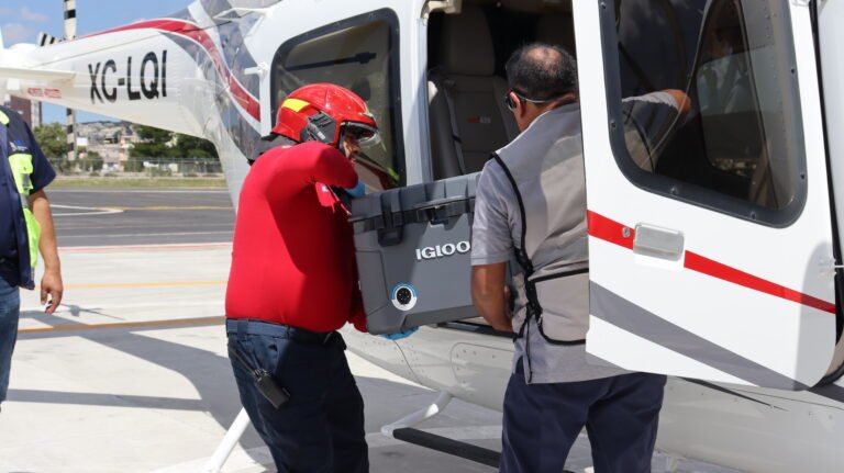 Reportan 29 donaciones de órganos en la entidad, 10 fueron multiorgánicas