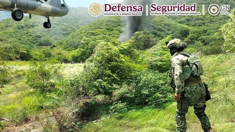 En Guerrero, autoridades federales inhabilitan laboratorios clandestinos