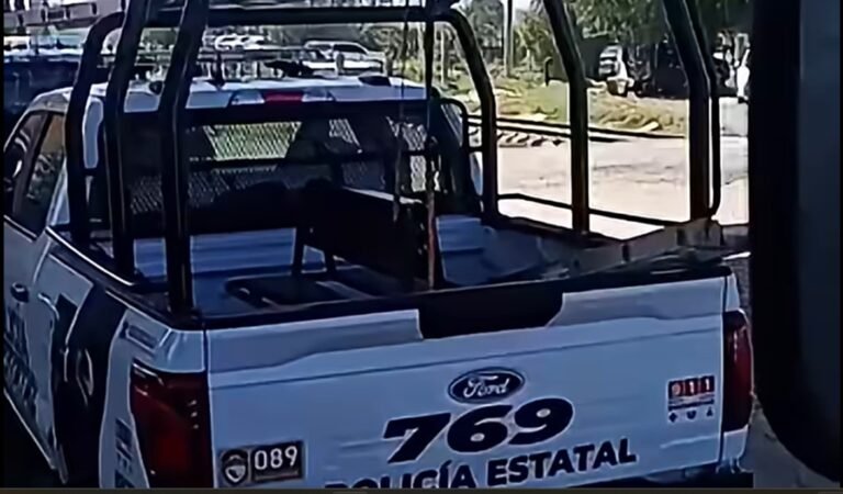 Impresionante operativo policiaco por huachicol en Teocalco