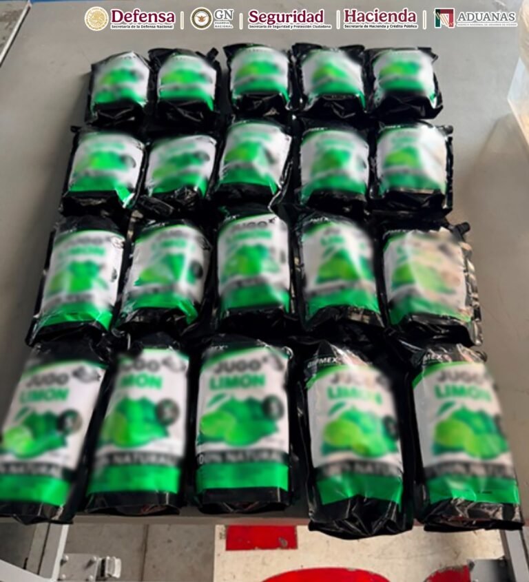 ANAM decomisó más de 10 kilos de Metanfetamina en Toluca
