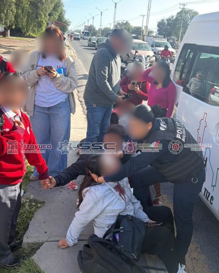 Una colectiva chocó con un tráiler y 12 personas resultaron lesionadas
