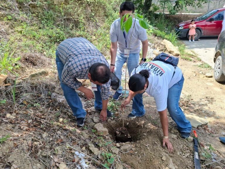 ISSSTE Hidalgo se suma a la séptima jornada nacional de reforestación 
