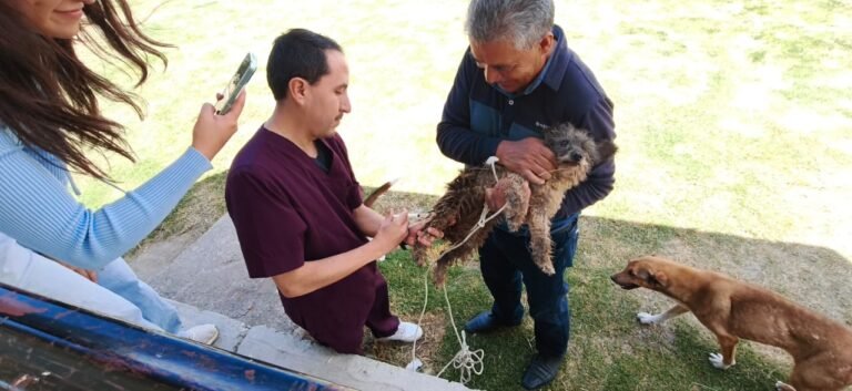 Más de 200 mil perros y gatos serán inmunizados en los 84 municipios de Hidalgo