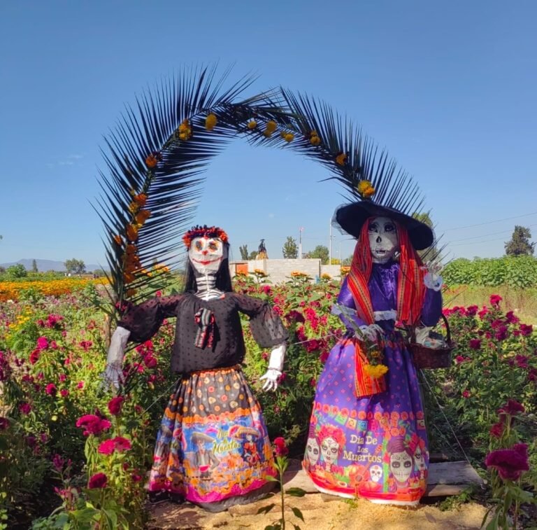 Ejido no dio permiso para la realización de la Feria de las Flores 2026