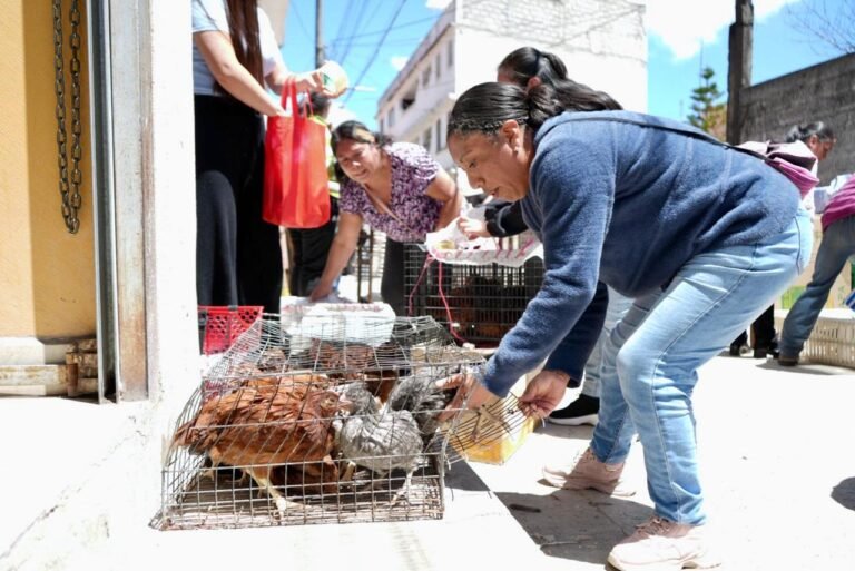 Con una inversión de 6 mdp, gobierno estatal beneficia a 616 familias dedicadas al campo en la Sierra Alta