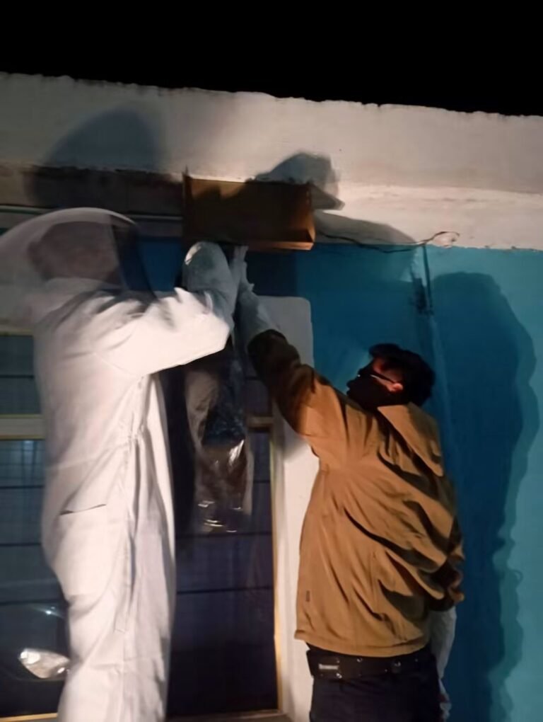 Ataque masivo de abejas deja al menos siete personas con picaduras, y otras dos en estado grave