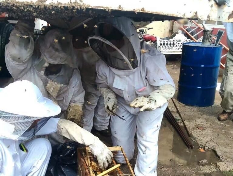 Capacitan a Bomberos de Emiliano Zapata en el manejo de enjambres
