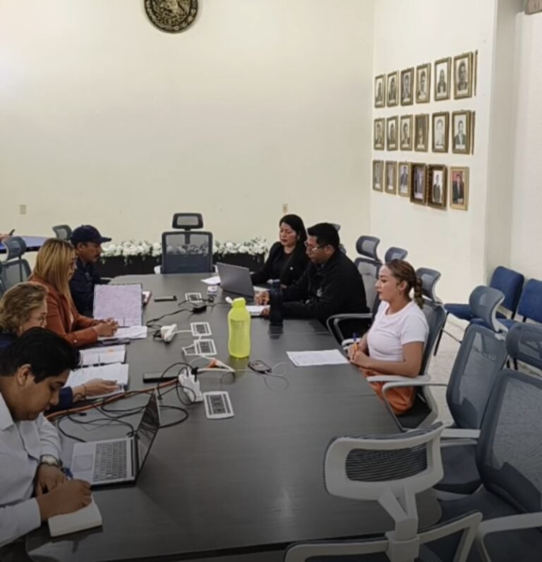 Alcaldesa de Tlanalapa suspende de nueva cuenta sesión extraordinaria