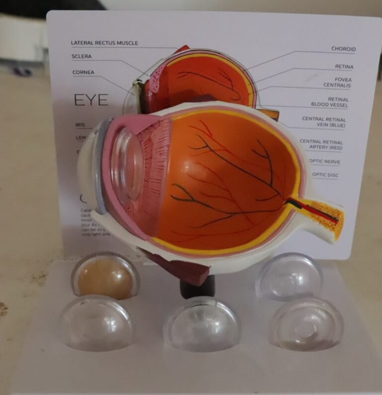 Desarrolla UPT sistema de bajo costo para mejorar imágenes de retina