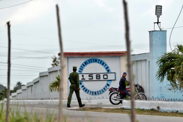 ONG reporta 79 violaciones de derechos y cuatro muertes