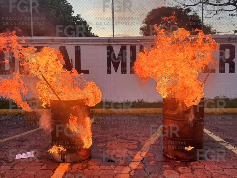 Destruyeron cinco toneladas de objetos de delito en Veracruz