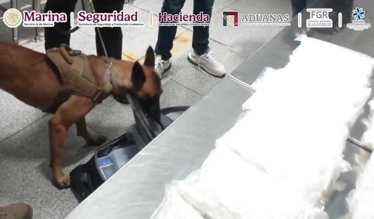 Detienen a 4 y aseguran más de 47 kilos de droga en el AICM